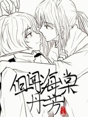 正品蓝导航柠檬导航